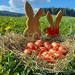 Pircherhof - Adults Only Am Biobauernhof Κατάλυμα σε φάρμα