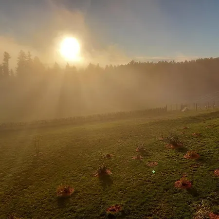 Pircherhof - Adults Only Am Biobauernhof * Pöllau