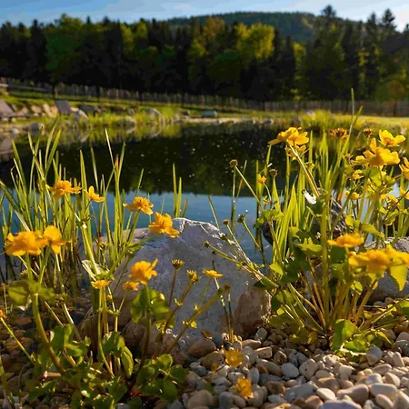 Pircherhof * Poellau