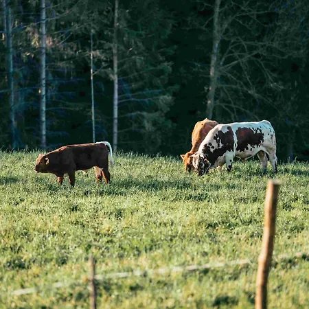 Lantgård Pircherhof - Adults Only Am Biobauernhof