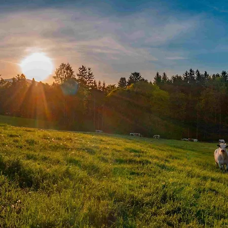 Lantgård Pircherhof - Adults Only Am Biobauernhof *