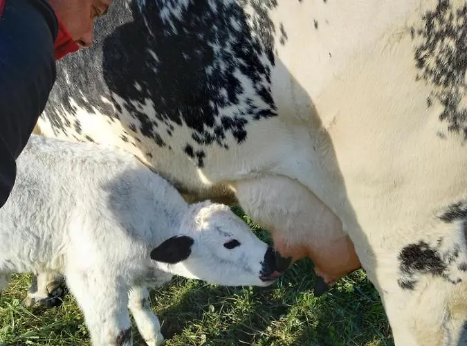 Farmház Pircherhof - Adults Only Am Biobauernhof *