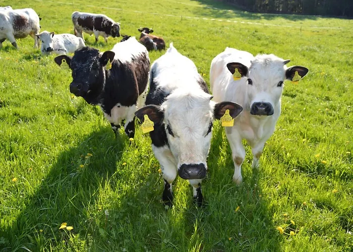 Farmház Pircherhof - Adults Only Am Biobauernhof *