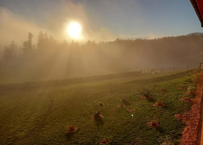 Pircherhof * Poellau