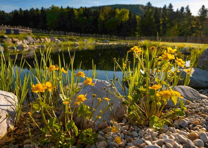 Pircherhof * Poellau