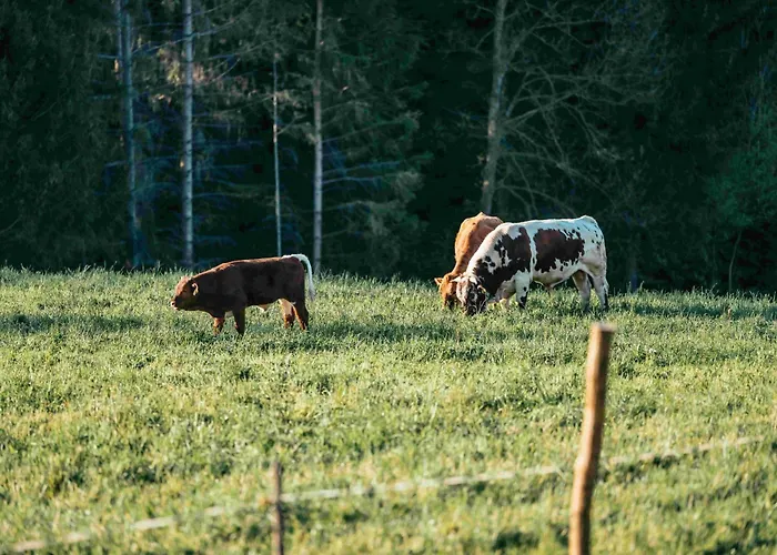 Farmház Pircherhof - Adults Only Am Biobauernhof
