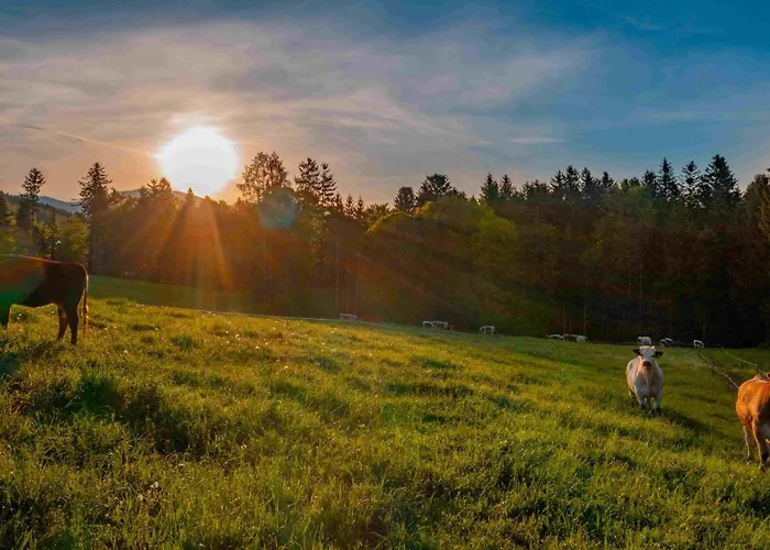 Bauernhof Pircherhof *